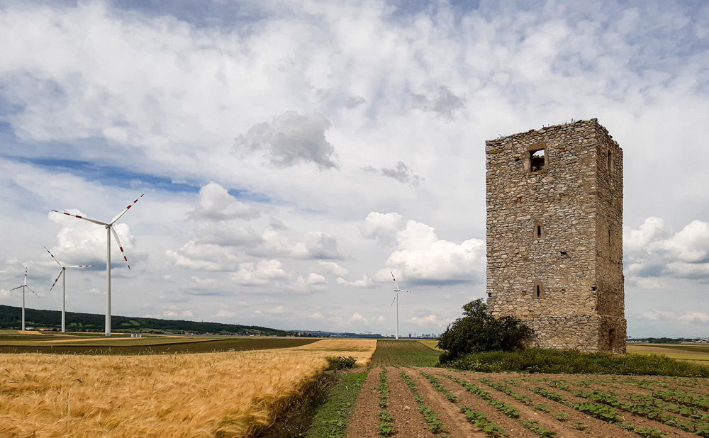 ÖGMN-Tagung 2026 logo